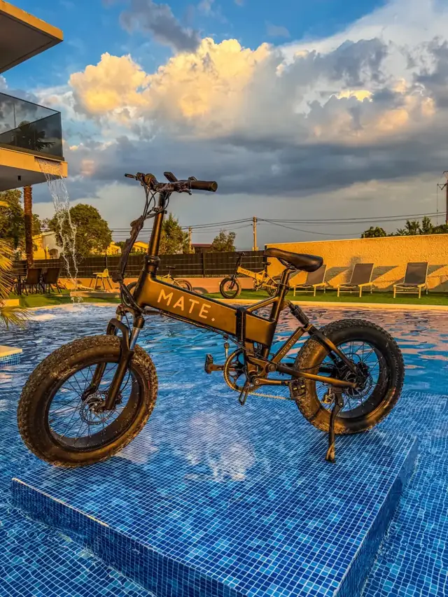 Mate.Bike electric bike