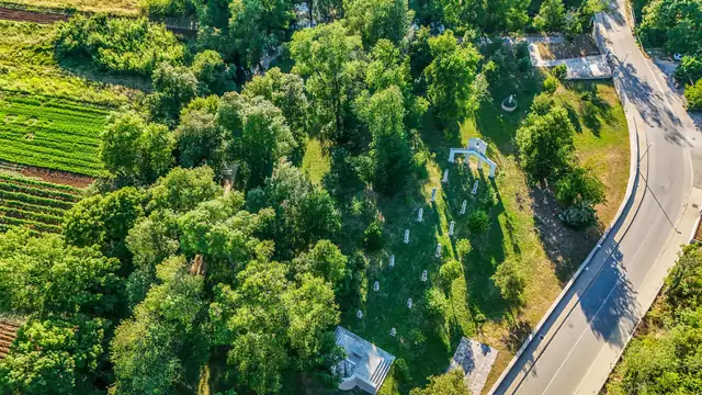 Memorial park in greenery from above